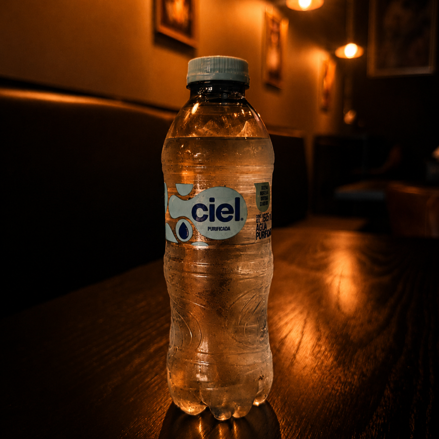 Agua Embotellada 355ml
